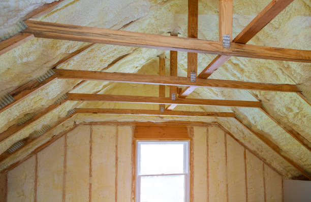 Best Residential Insulation in Clinton, NC