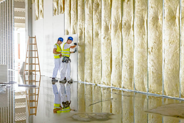 Best Commercial Insulation in Clinton, NC